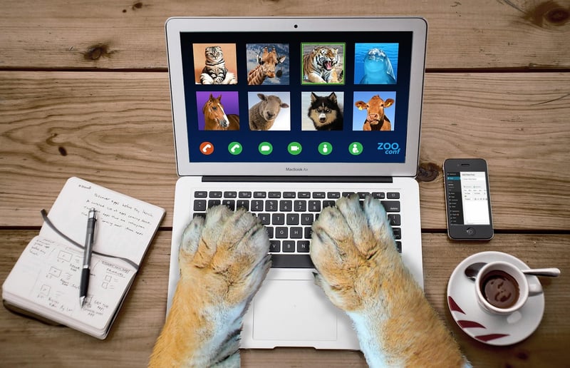 Video Conference